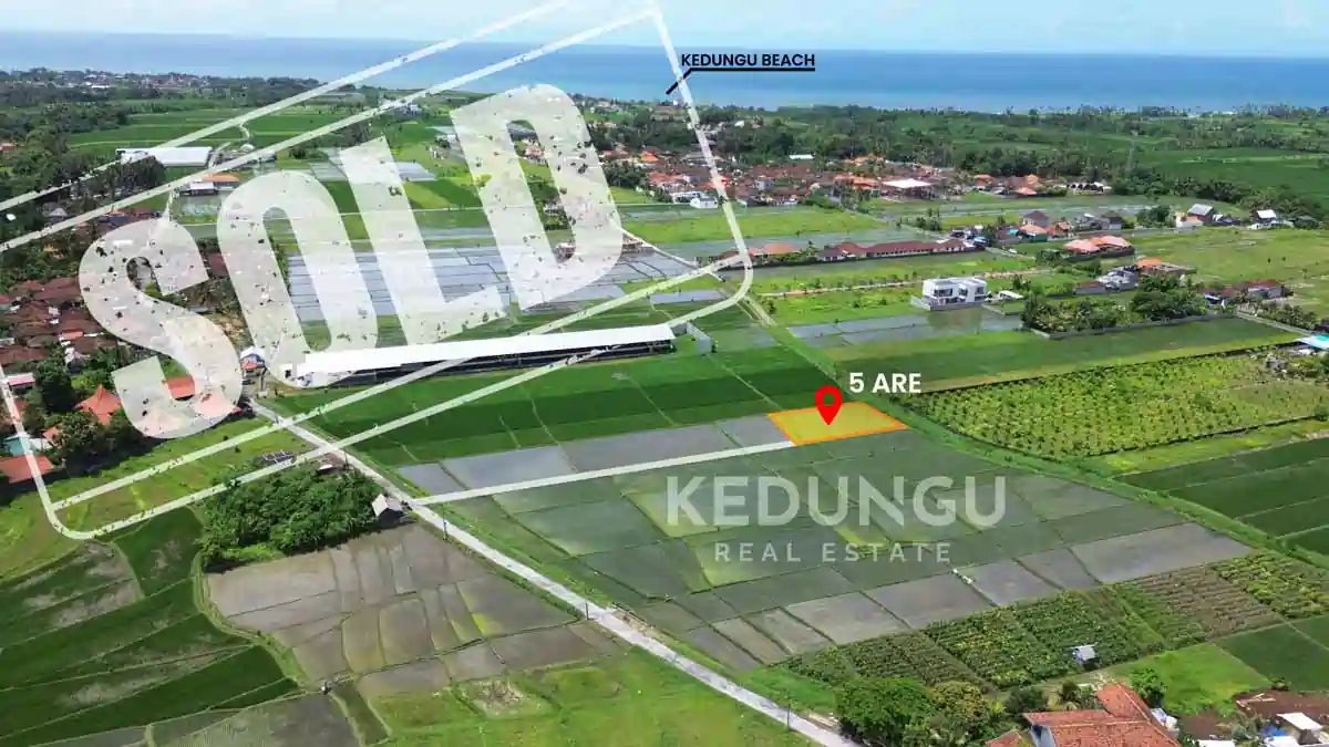 Aerial view of a rare freehold plot near Kedungu Beach, Bali, featuring a serene ambiance surrounded by verdant rice fields.