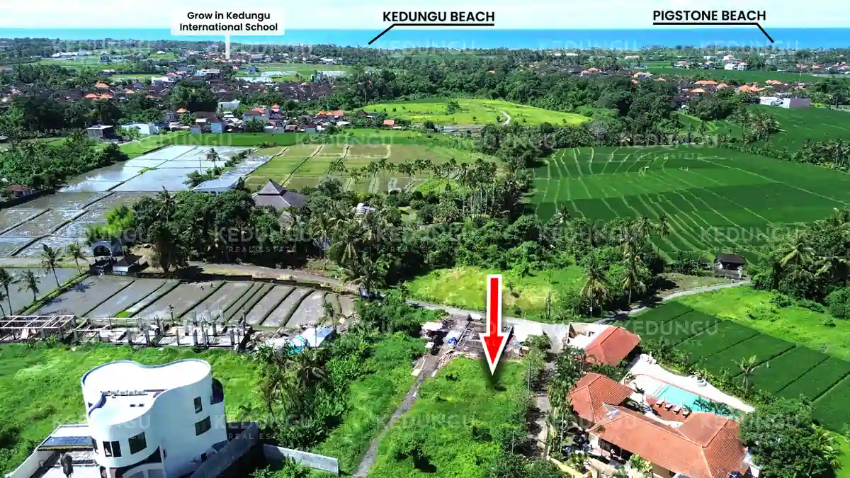 Pacung Jl Bottle 2 are Yellow LSD Leashold KRE watermark 02