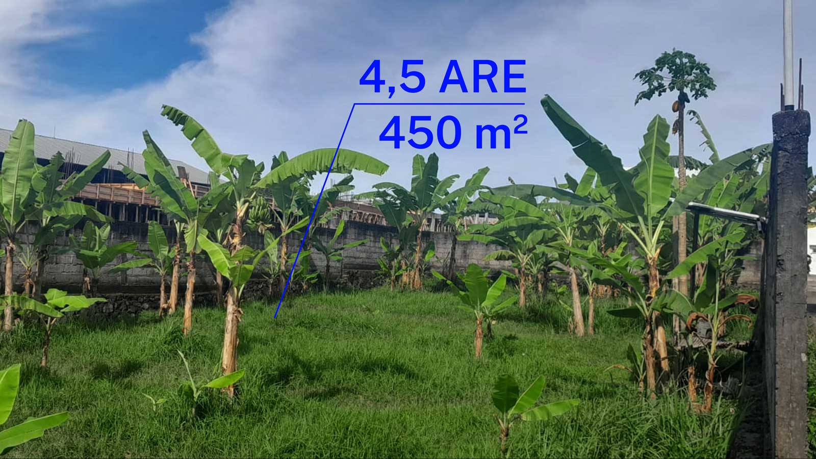 4 5 are leasehold land in tumbakbayuh pererenan 01