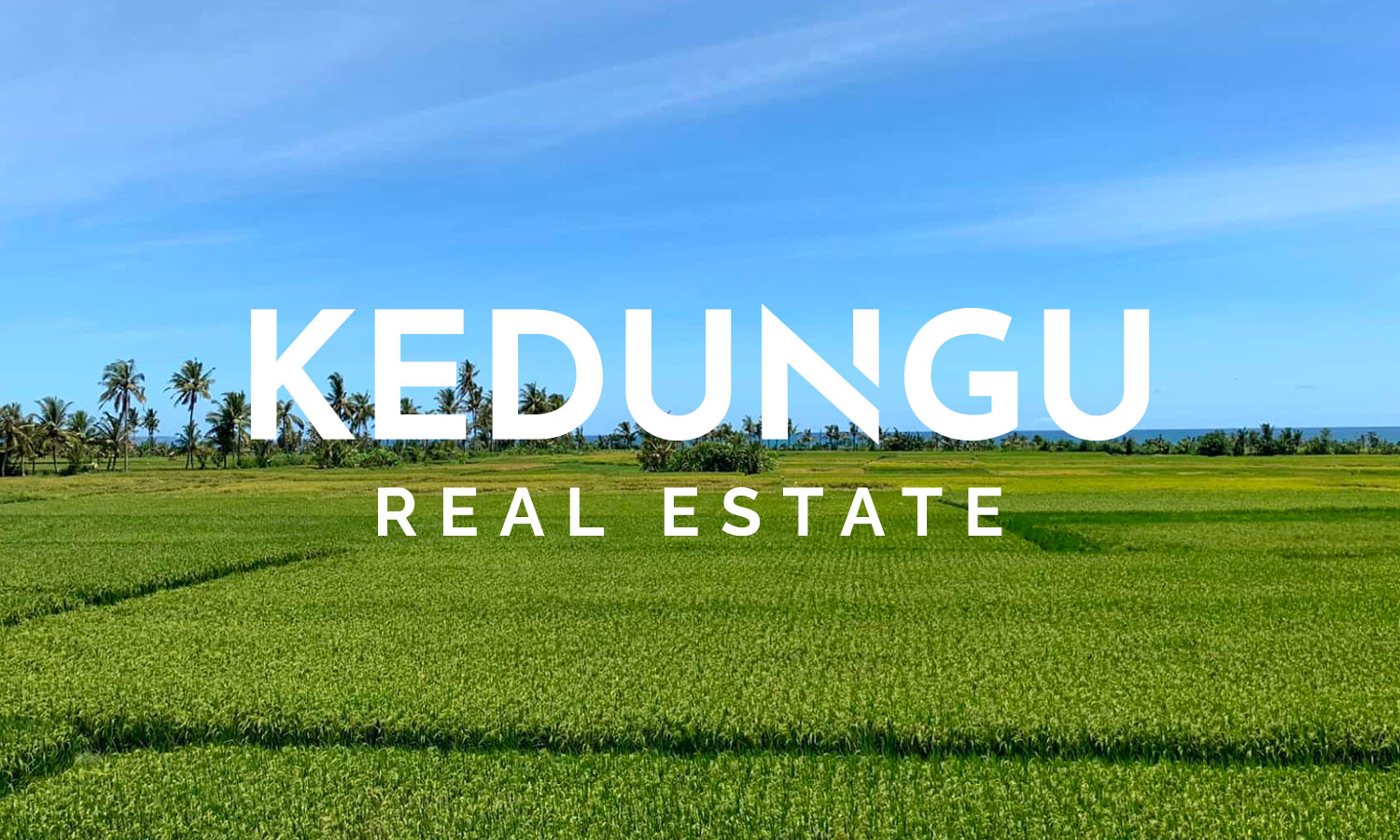 Kedungu Land and Villas for lease or sale Kedungu Real Estate