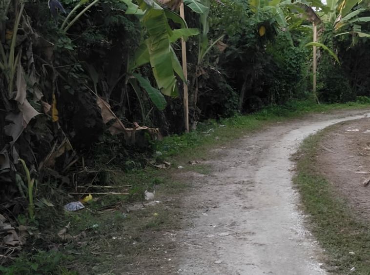 9 4 are leasehold land in pererenan 2