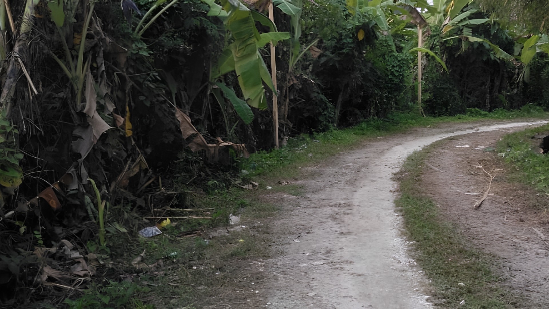 9 4 are leasehold land in pererenan 2
