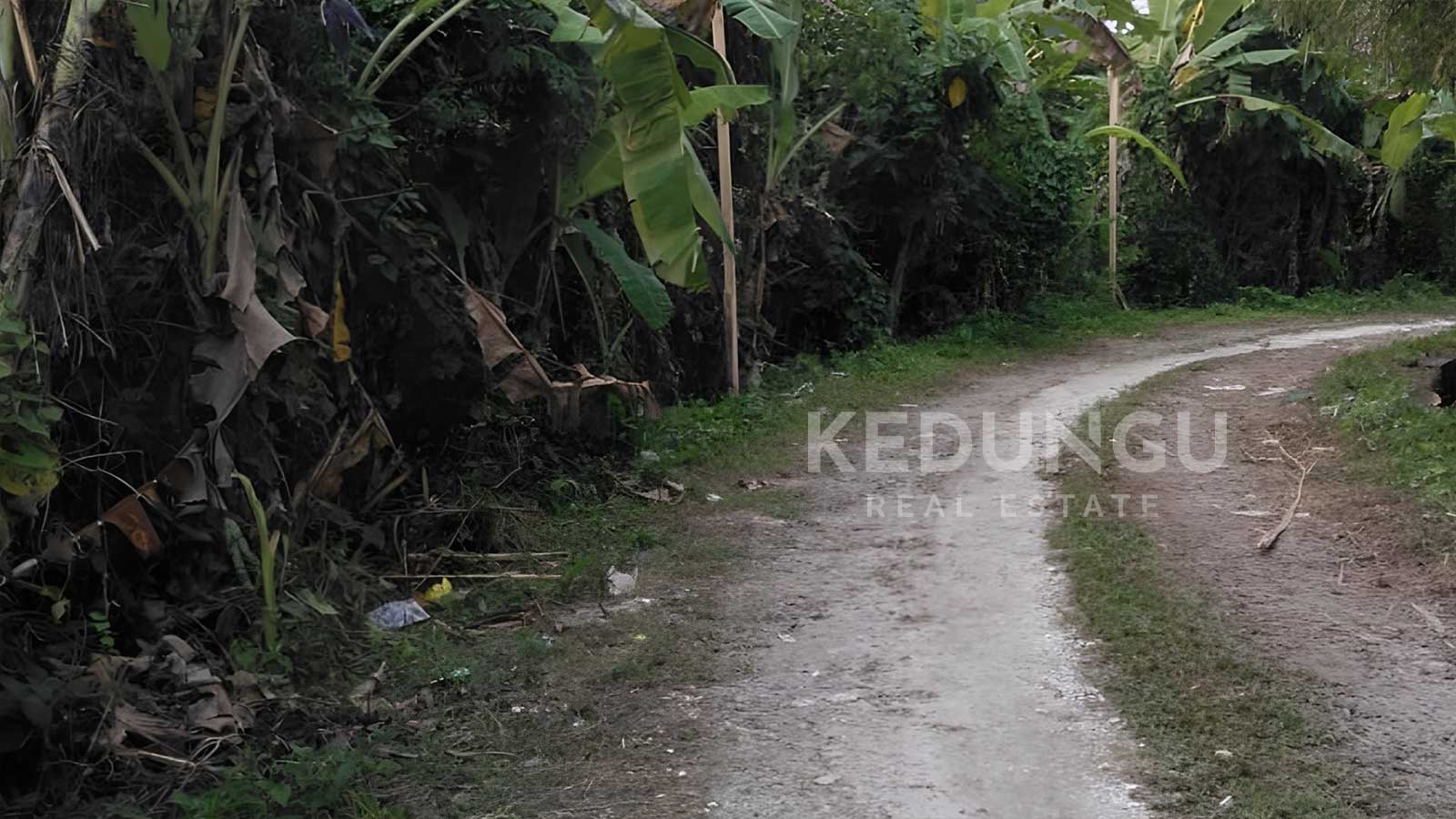 9 4 are leasehold land in pererenan KRE 02