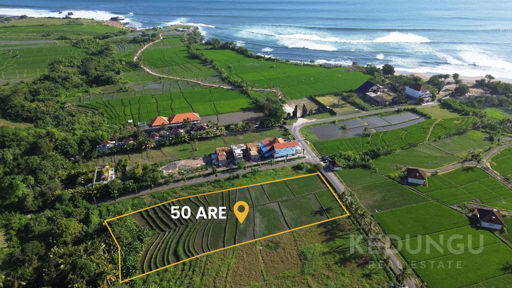 50 are leasehold land tourism zoning 1 minute to kedungu beach 01