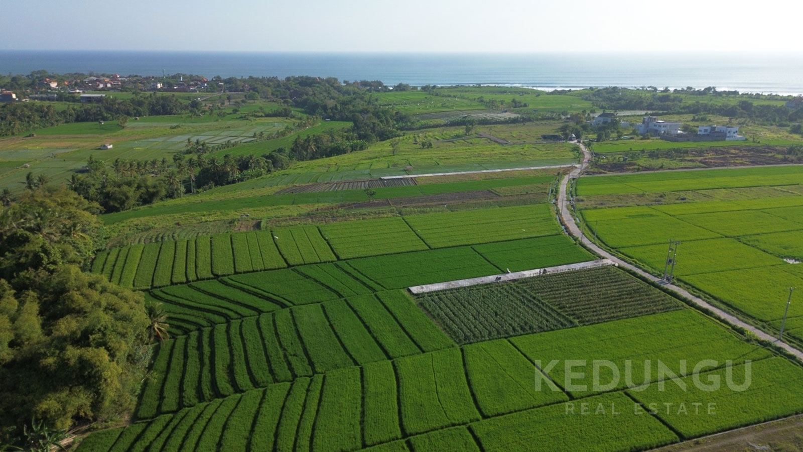 a piece of paradise with 10 acres of freehold land in a tranquil kedungu beach area 04 1