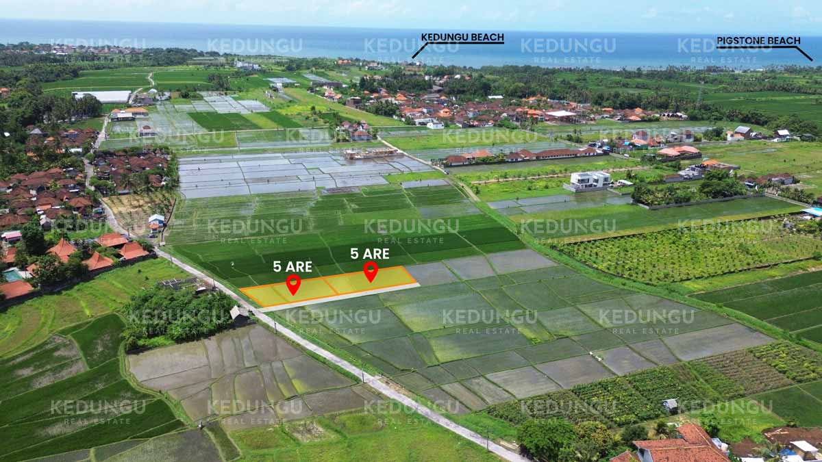 Dangin Jelinjing 10 Are Yellow Zone LSD 01