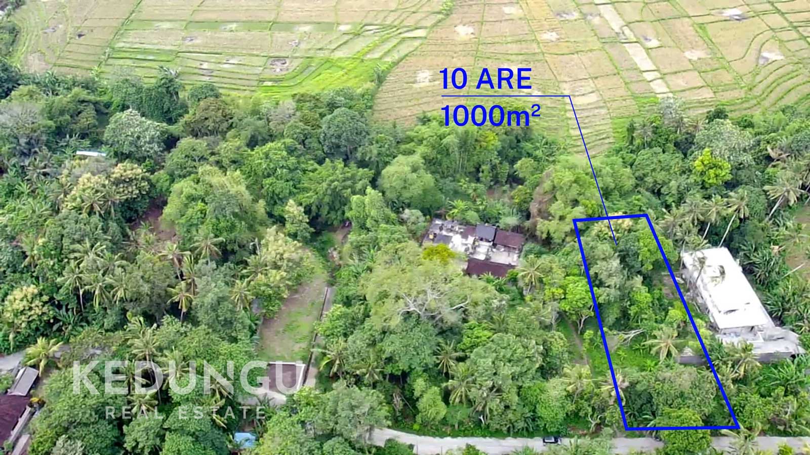 land for lease with ricefield view kedungu 10 are KRE Watermark 02