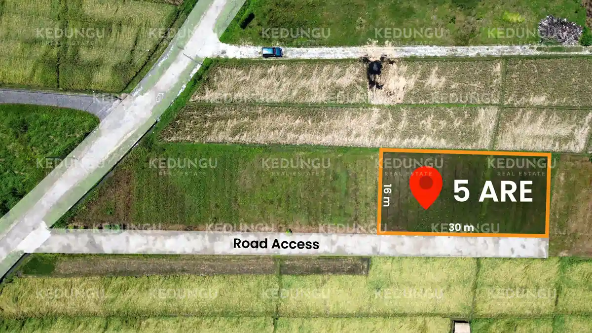 Kedungu Jangga 5 are pink freehold KRE Watermark 01