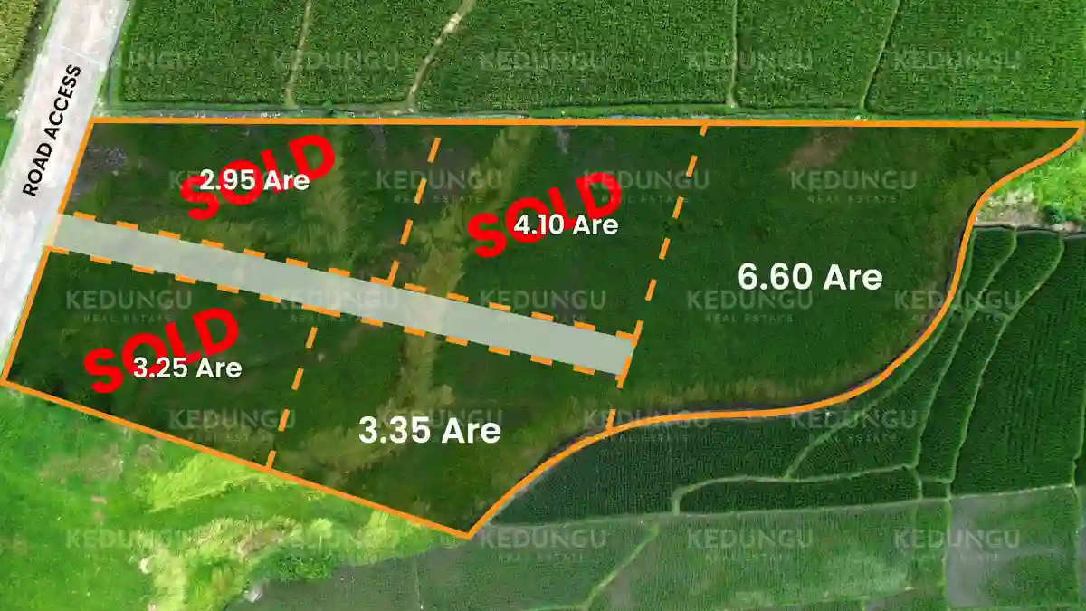 Kedungu Dangin Jelinjing 3 poitt 3 36 Are and 6 point 6 are Yellow Zone Freehold 01