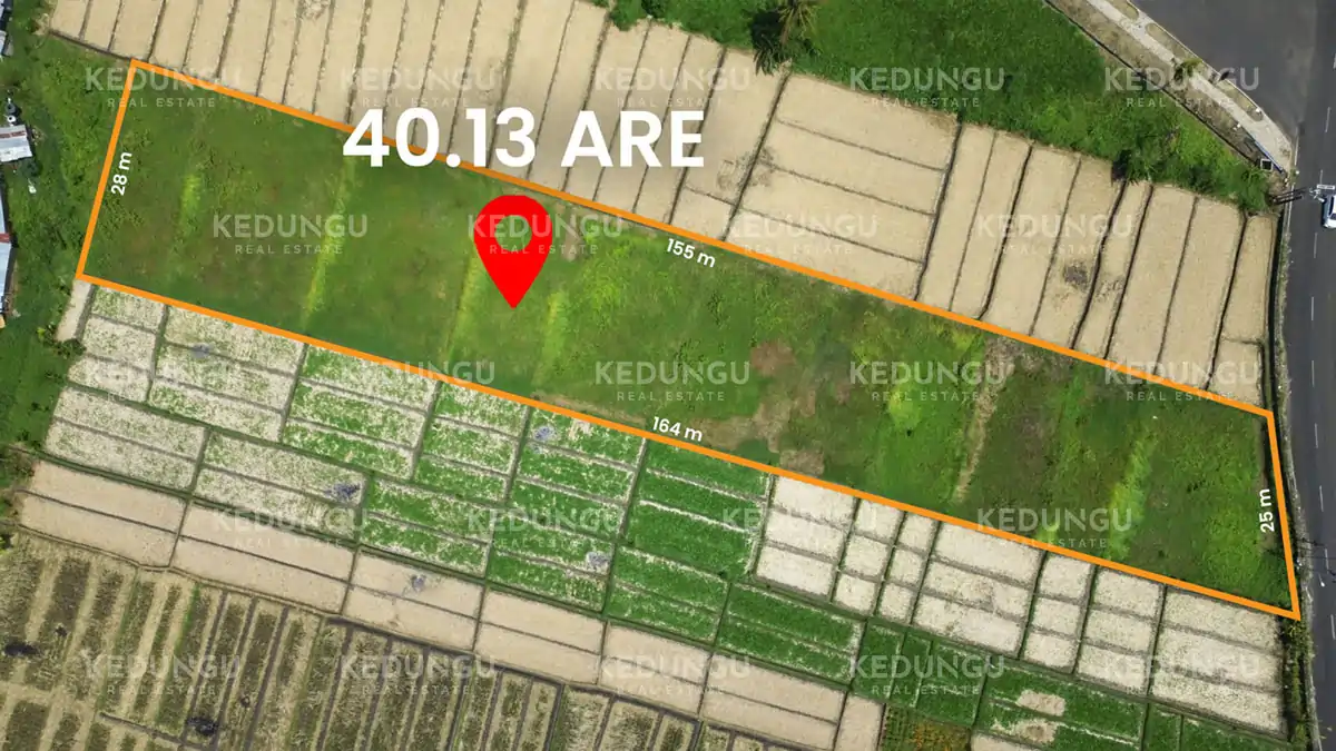 Pangkung Tibah 40 13 Are Pink Zone Leasehold KRE Watermark 02
