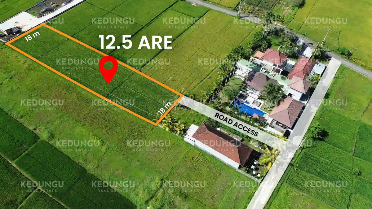 Kedungu Utara Casa Mooi 12 5 Are Kuning LSD Leasehold KRE Watermark 01