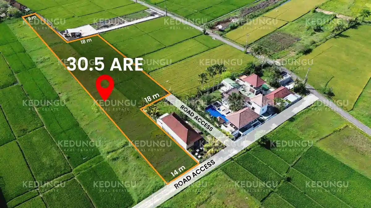Kedungu Utara Pak Arka 18 plus 12 5 are Kuning LSD Leasehold KRE Watermark 01