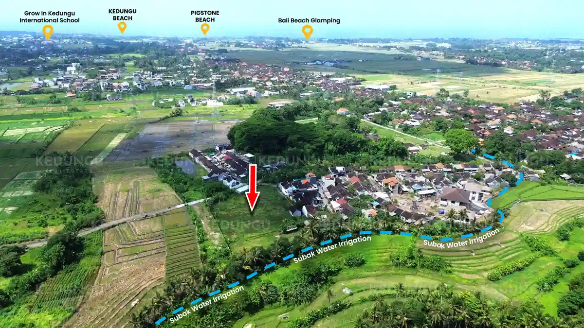 Perspective from above showing 47 are land near Kedungu Beach and labeled Subak irrigation lines