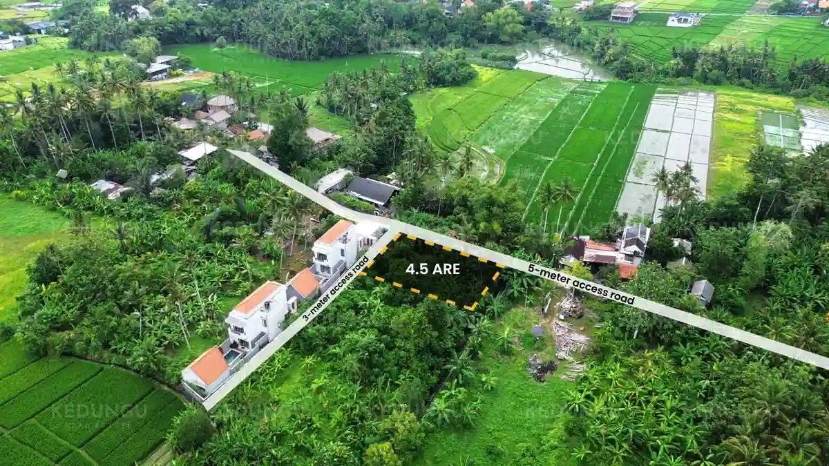 Pasekan 4 5 are Yellow Zone Leasehold 02